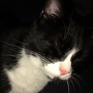 Meet your Posher, Adrian